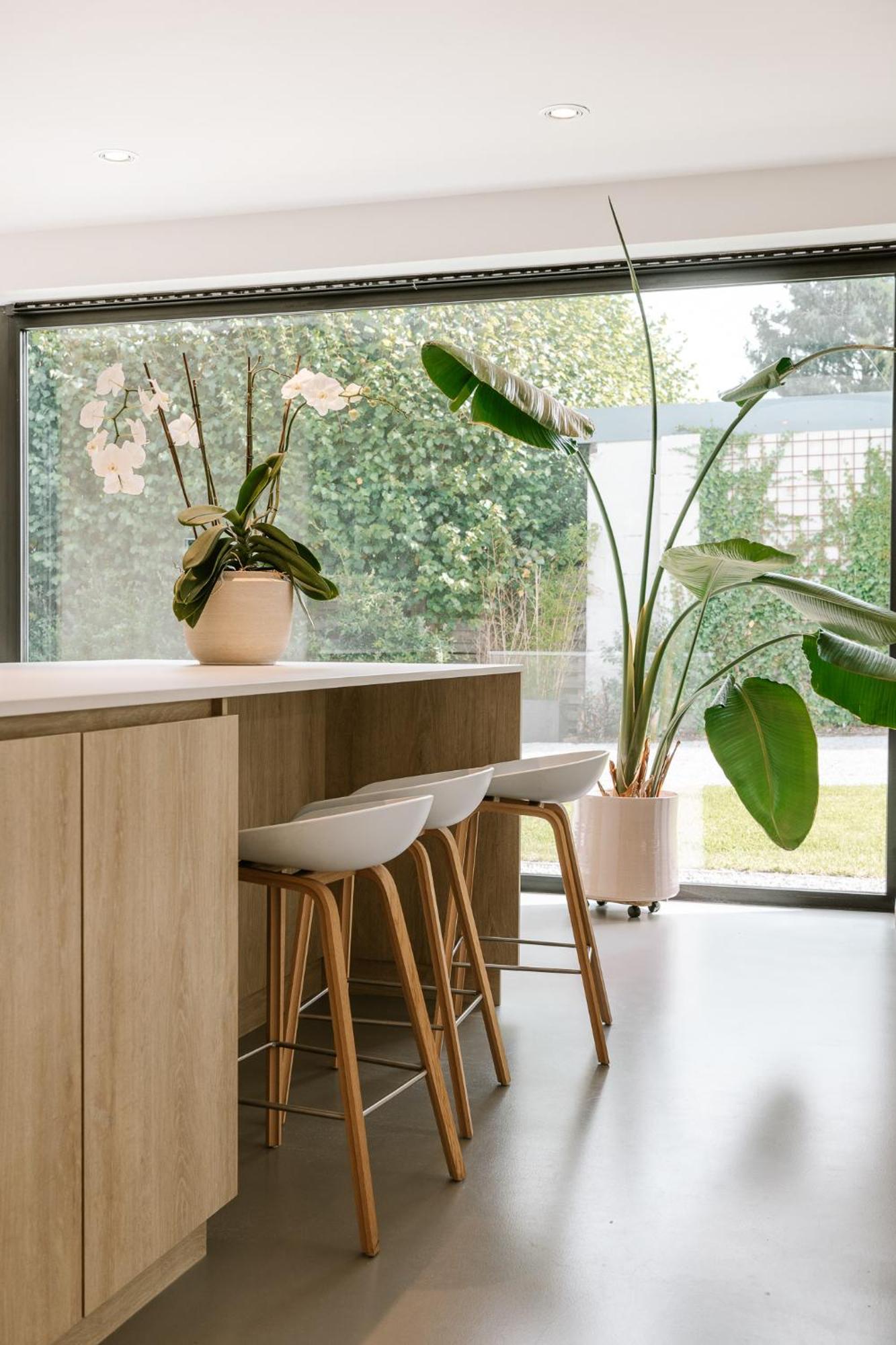 Bnb Manere Grimbergen Buitenkant foto